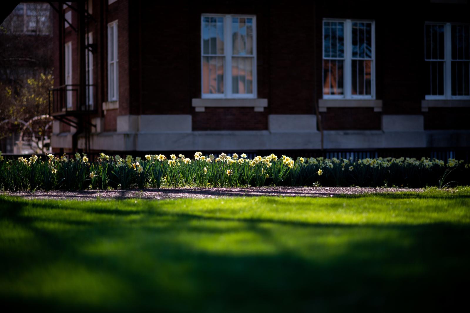 Spring_Scenics_20230314_G5C4311